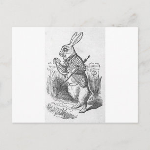 Alice i underland 2,5 vykort