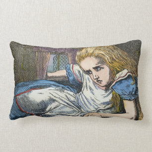 ALICE I UNDERLAND LUMBARKUDDE