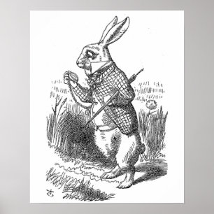Alice i underland vitkaninvintagen poster