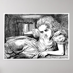 Alice i Vita kaninens hus Poster