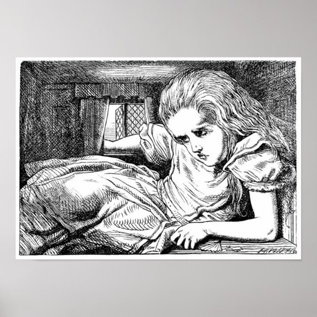 Alice i Vita kaninens hus Poster (Framsidan)