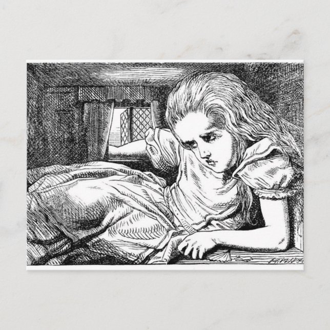 Alice i Vita kaninens hus Vykort (Framsida)