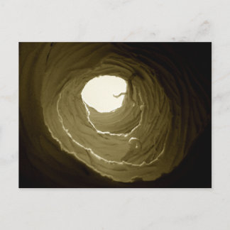 Alice i vykort för underlandkaninhål