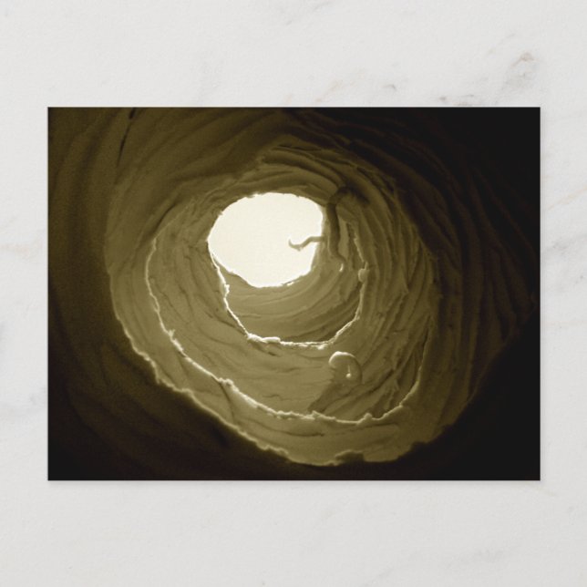 Alice i vykort för underlandkaninhål (Framsida)