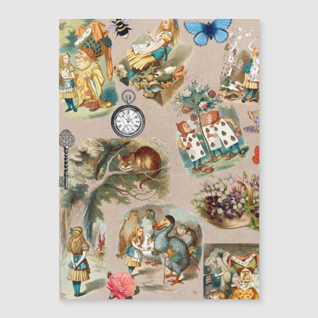 Alice i Wonderland Cheshire Cat Characters (Framsida)