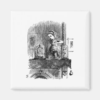 Alice i Wonderland genom det Tittar glaset Magnet