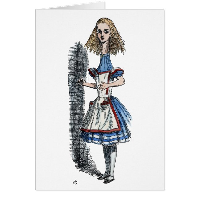 ALICE I WONDERLAND OBS KORT (Framsidan)