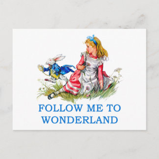ALICE I WONDERLAND VYKORT