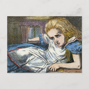 ALICE I WONDERLAND VYKORT