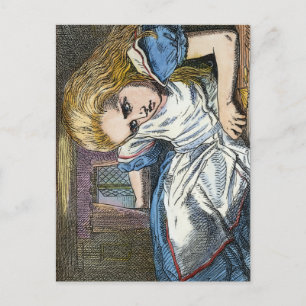 ALICE I WONDERLAND VYKORT