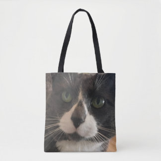 Alice, kattroten tygkasse