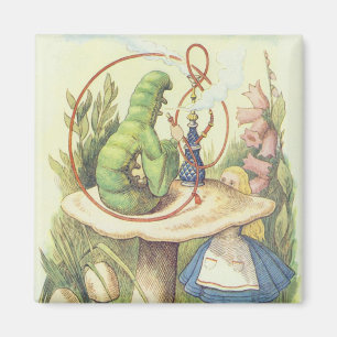 Alice möter Caterpillar Magnet