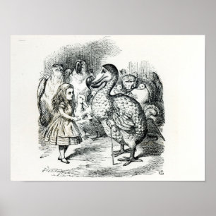 Alice möter dodoen poster