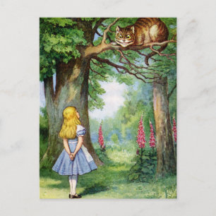ALICE OCH CHESHIRE CAT VYKORT