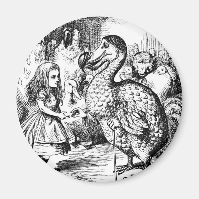 Alice och Dodo Magnet (Framsidan)