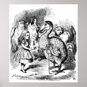 Alice och Dodo Poster