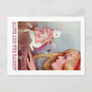 ALICE OCH WHITE RABBIT VYKORT