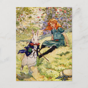 ALICE OCH WHITE RABBIT VYKORT