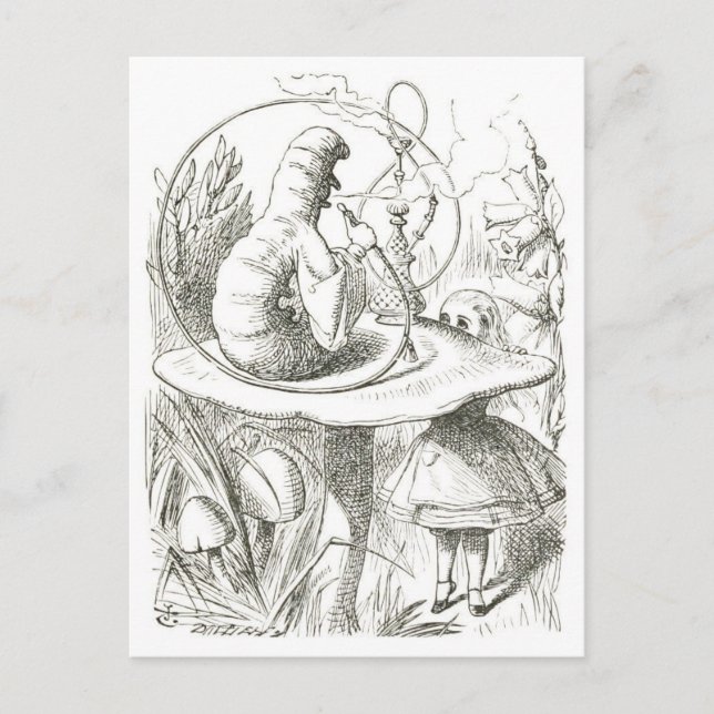 Alice Uppfyller Vintagen för vattenpelaren. Vykort (Framsida)