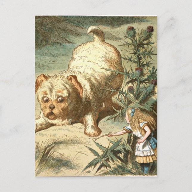 Alice Vykort (Framsida)