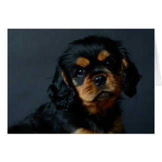 Alices desi.jpg hälsningskort