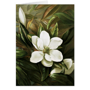 Alicia H. Laird: Magnolia Grandflora Hälsningskort