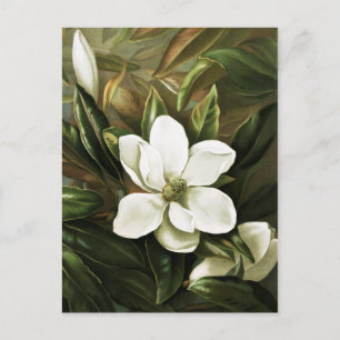 Alicia H. Laird: Magnolia Grandflora Vykort