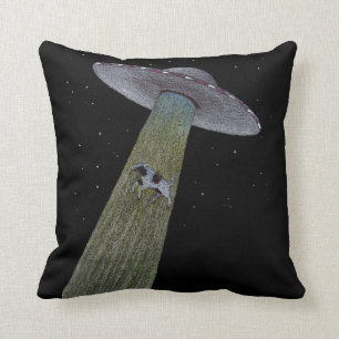 Alien Abduction Kudde