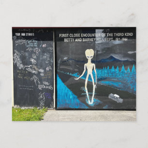 Alien Abduction Vykort