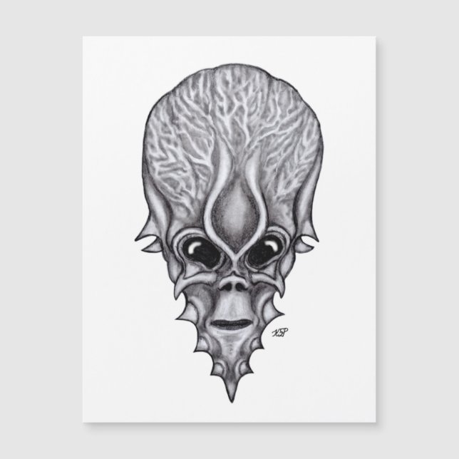 Alien Ansikte , afrikansk återuppbyggnad av hullfe (Framsida)