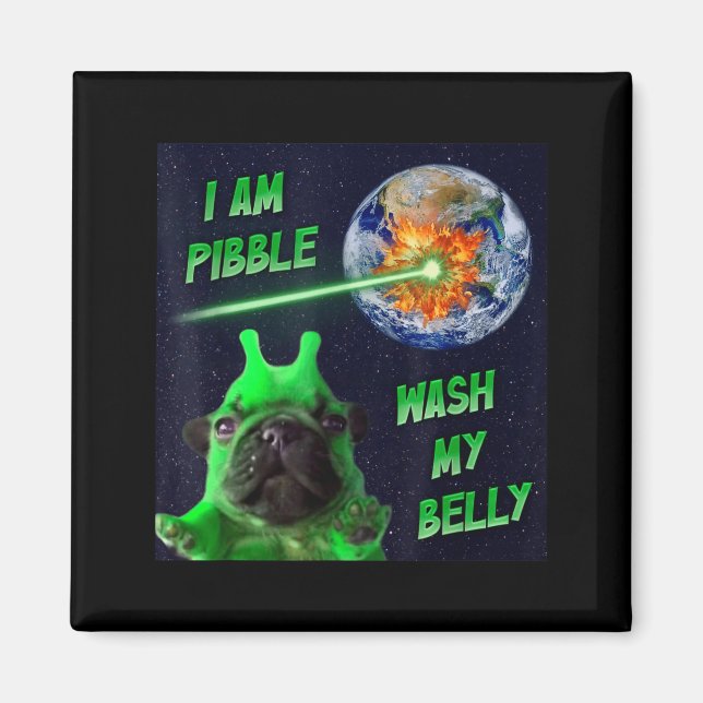 Alien Bble Funny Brainrot Dog Meme Space I Am Bble Magnet (Framsidan)