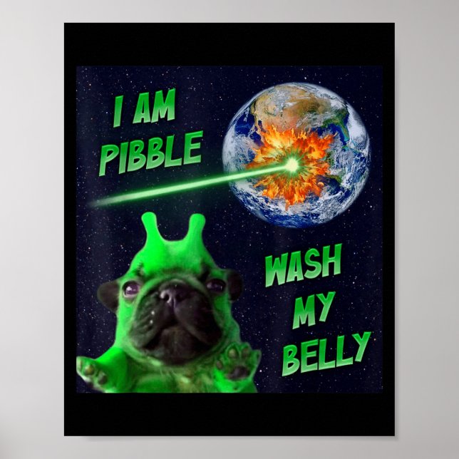Alien Bble Funny Brainrot Dog Meme Space I Am Bble Poster (Framsidan)