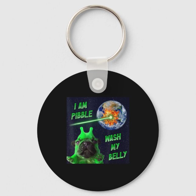 Alien Bble Roligt Brainrot Hund Meme Rymden Jag Är Nyckelring (Framsida)