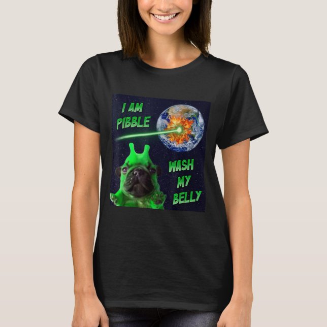 Alien Bble Roligt Brainrot Hund Meme Rymden Jag Är T Shirt (Framsida)