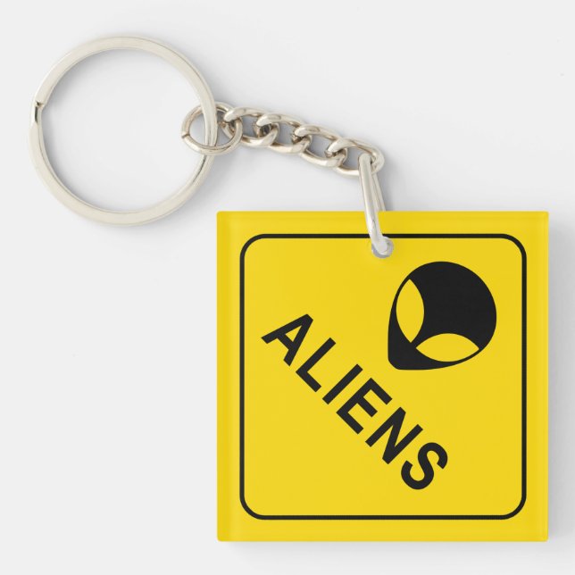Alien Head, Alien Invasion Warning Sign (Framsidan)