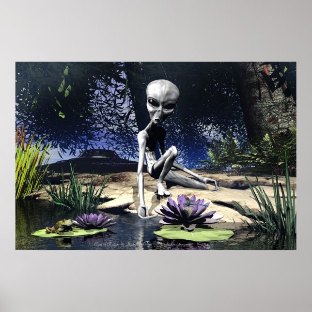 Alien i naturen av Michelle Wilder Poster (Framsidan)