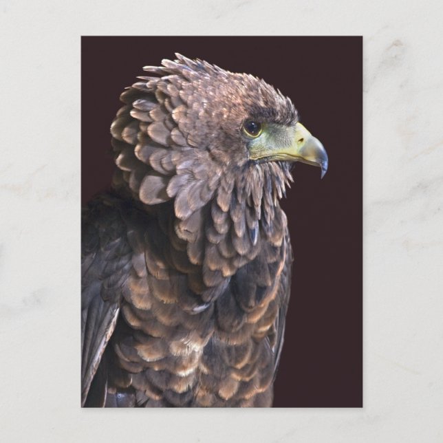 Alien Queen Postcard Vykort (Framsida)