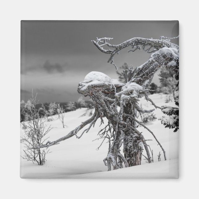 Alien träd magnet (Framsidan)