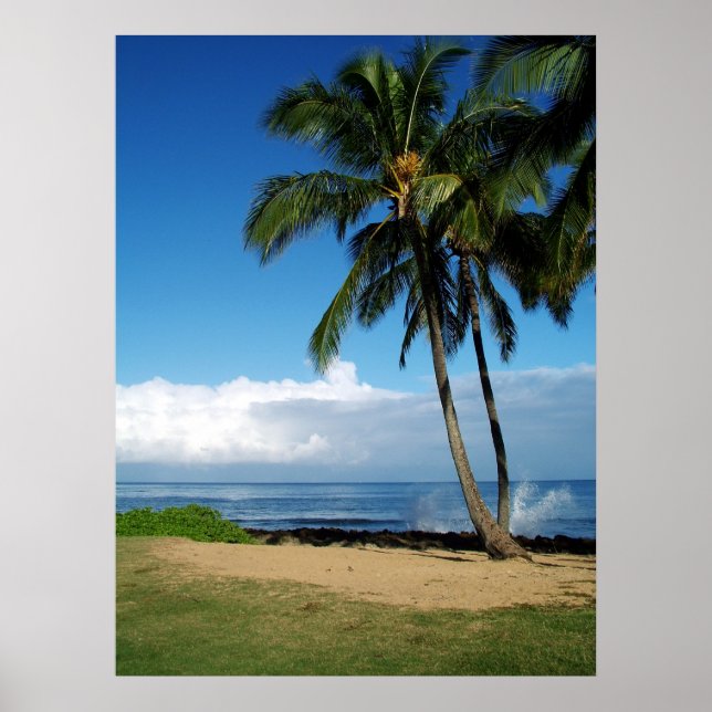 Ali'i Beach 19 Poster (Framsidan)
