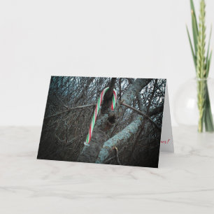 "Alimagnet Candy Cane" Julkort Kort