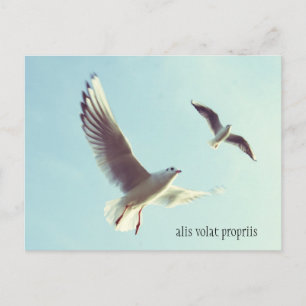 Alis Volat Propriis-vykort Vykort
