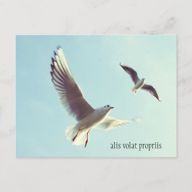 Alis Volat Propriis-vykort Vykort (Framsida)