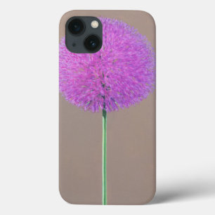 Alium