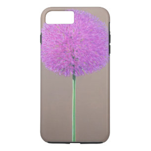 Alium