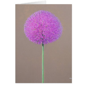 Alium Hälsningskort