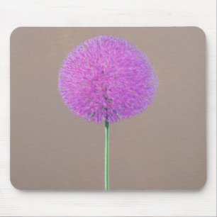 Alium Musmatta