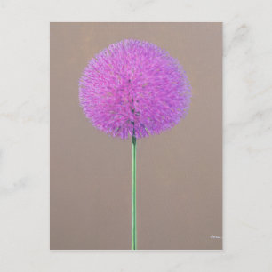 Alium Vykort