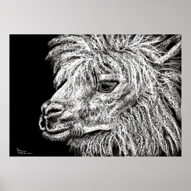 alkapa poster (Framsidan)