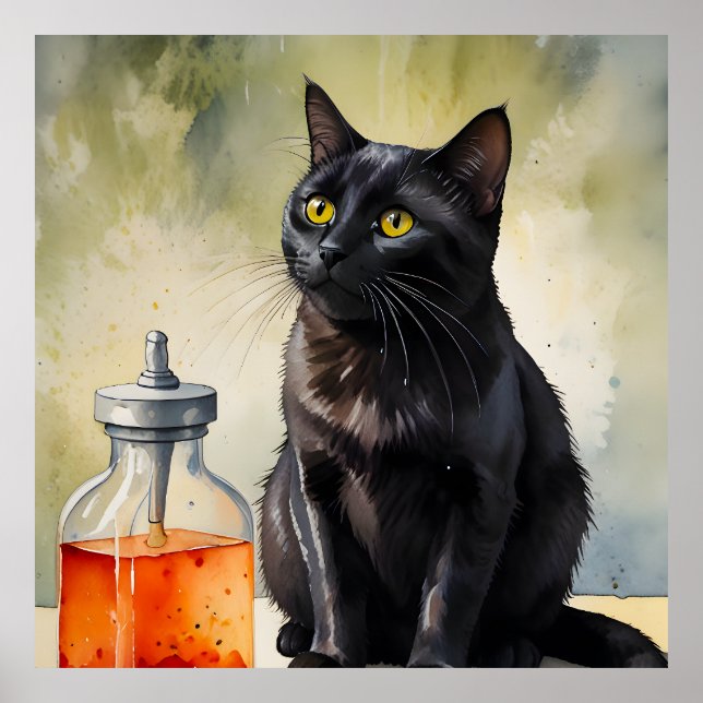 Alkemistens katt poster (Framsidan)