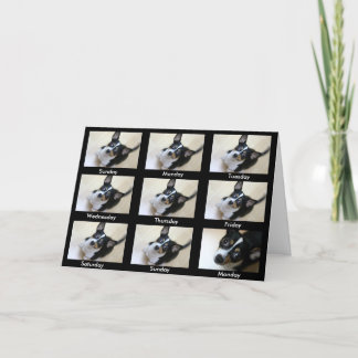 Alkoholiker Anonym "Behålla kommer tillbaka.." Kort